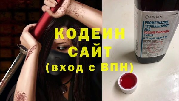 шишки Нягань