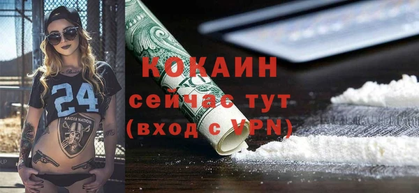 шишки Нягань