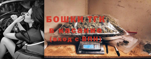 шишки Нягань