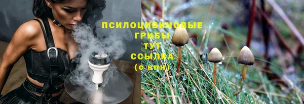 прущие грибы Новокубанск