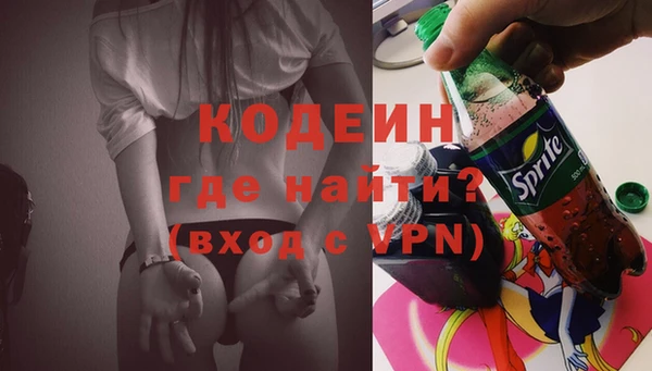 шишки Нягань