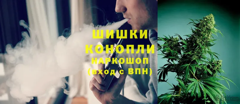 Конопля THC 21%  дарнет шоп  Новоузенск 